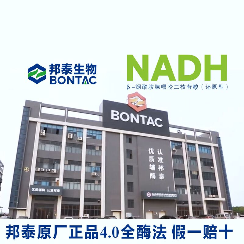 Bangtai Nadh Raw Material Powder 98% High Purity 4.0 Full Enzyme Method Official Genuine Reduced Form Nad+ Mitochondrial Factor