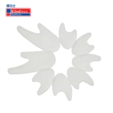 Kangmart Toe Разделите большую костяную костяную костя