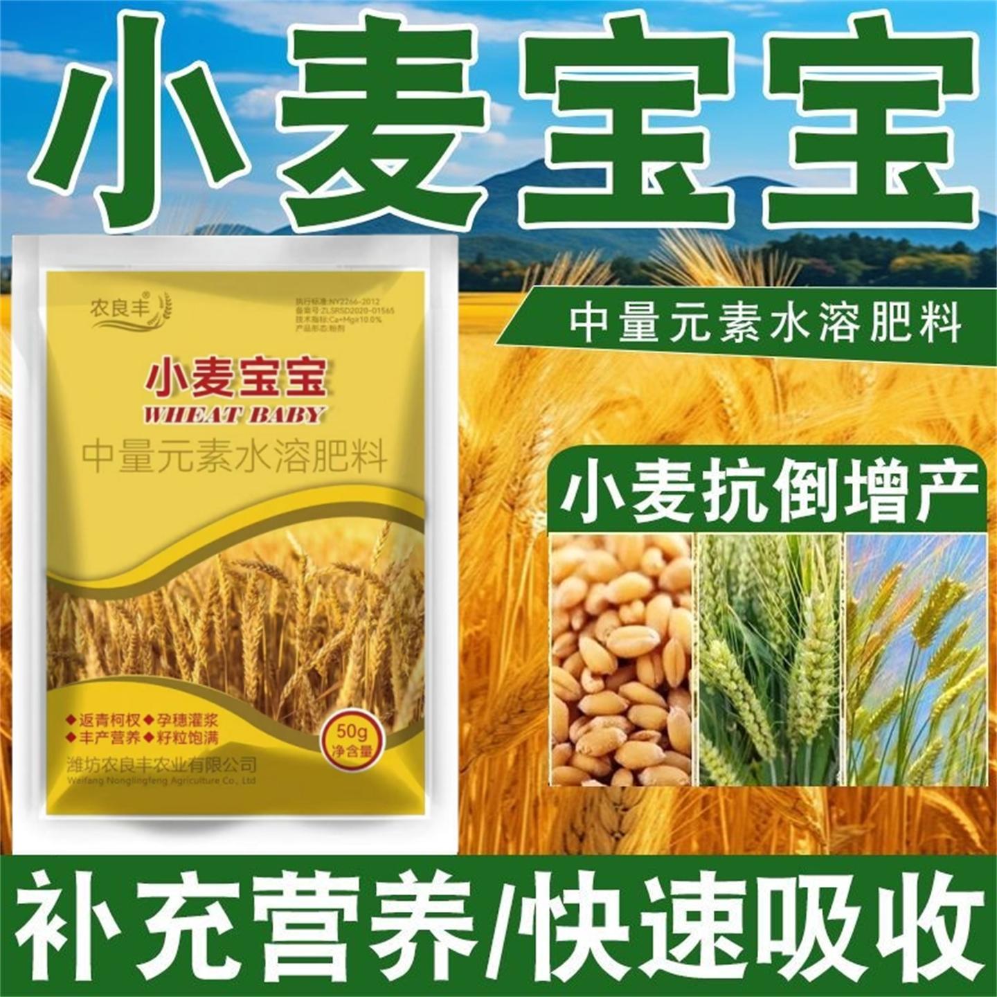 小麦成长的守护者：农良丰小麦宝宝叶面肥的秘密