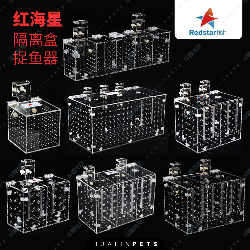 RED STARFISH RED STARFISH aquarium Acrylic isolation box Isolation box Fish catcher SMALL medium LARGE