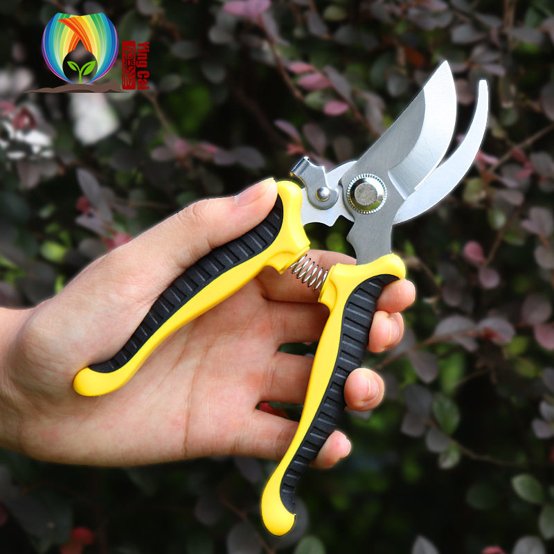 Manufacturer's new Yingcai pruning spot gardening garden scissors multi-functional pruning fruit tree tool branch shears