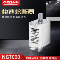 Zhongyu NGTC00 RS31 160A 690V fuse core fast plug-in fuse ceramic insurance fuse core