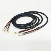 Viborg Vyborg fever horn wire banana head CD bile machine amplifier audio Y pin plug cable sound box Cable