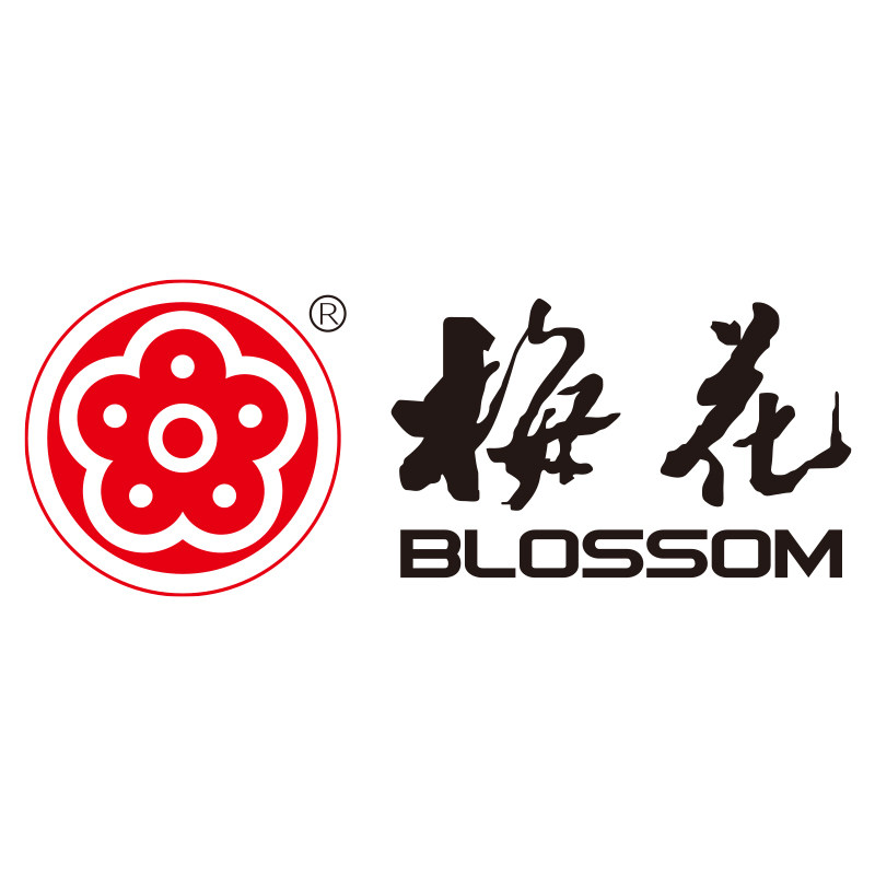 Blossom锁具五金店
