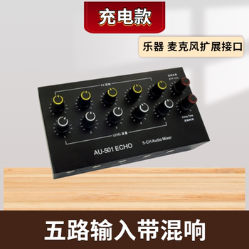 Microphone, Instrument Multi-Channel Input Expander, Delay Reverb Mixer, Outdoor Speaker, Charging Mixer