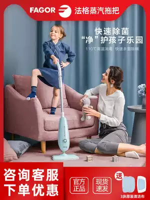 FAGOR Fag steam mop household non-wireless electric high temperature steam cleaner mop Net Red