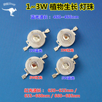 1W3W imitation lumens high power Red Light Green Blue yellow light LED lamp beads full spectrum plant growth lamp beads