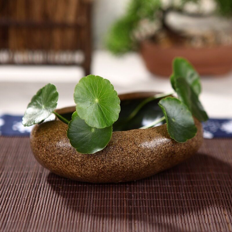 Hot Selling Days Style Coarse Pottery Multi-Meat Flower Pots Hydroponic Imitation Stone Small Floral Specialty Tea Vat Tea Duct Accessories Vase Hem