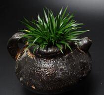 16 Flowers and plants Creative design High ancient potted money calamus Pu Grass Qianpu decorative ornaments Wen play