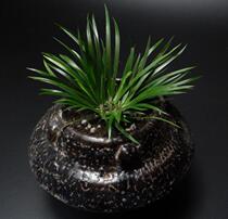 OB 9 # Flowers and plants Creative design High antique potted text play money Calamus Pu Grass Qian Pu