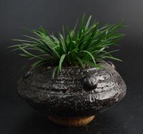 57#Flowers and plants Creative design High antique potted text play money Calamus Pu grass money