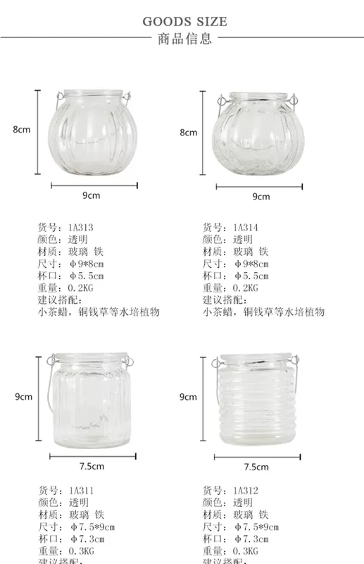 Bình thủy tinh, cắm hoa trong suốt, bình thủy canh, thì là xanh nhỏ, hoa treo ban công, trang trí phòng mô hình - Vase / Bồn hoa & Kệ