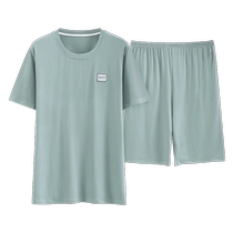 Modal pajamas mens summer short-sleeved large size thin 2024 new ice silk spring and autumn mens home wear set