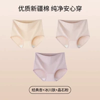 [3 Установки 丨 5A -уровне бактериостатический] Классический абрикосо+кожа ледника+порошок лонжерона