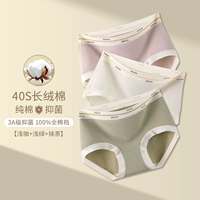 Светло-кофейный + светло-зеленый + матча