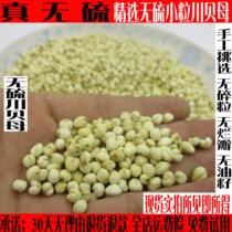 500g Sichuan Fritillary Sichuan Fritillary Sichuan Fritillary Sichuan Fritillary Sichuan Fritillary Sichuan Fritillaria Sichuan Fritillaria Sichuan Fritillary Sichuan Fritillaria Sichuan Fritillaria Sichuan Fritillaria