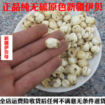 Chinese herbal medicine pure sulfur-free Xinjiang fritillary Yili fritillary Xinjiang fritillary 500g furnace shellfish