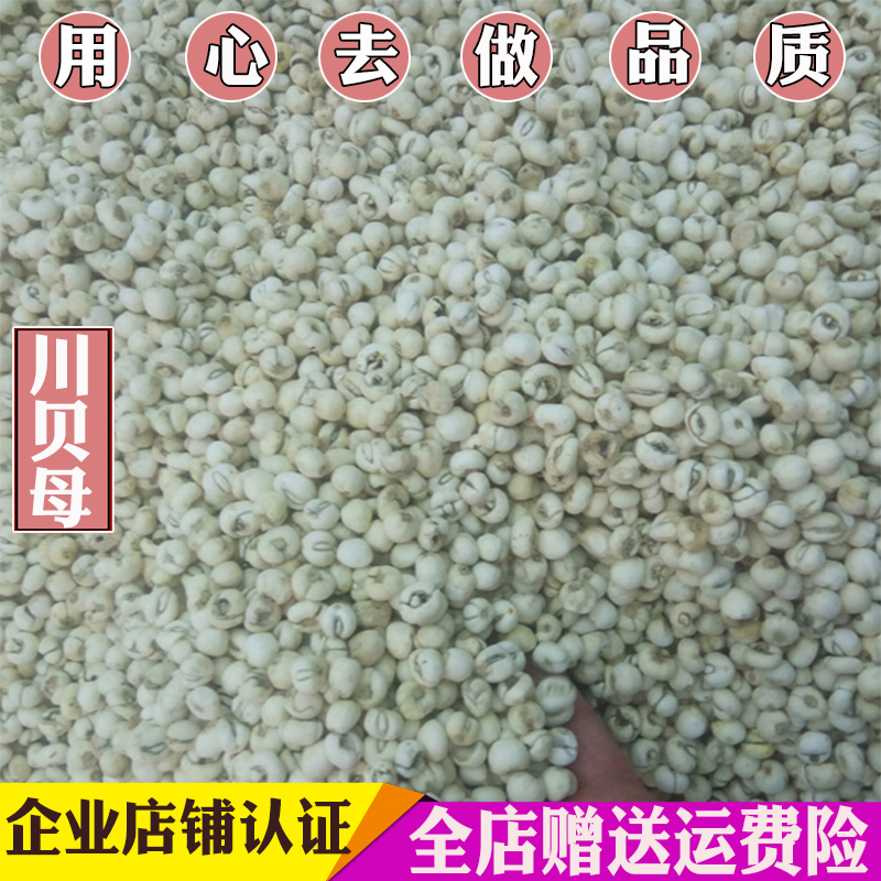 Sichuan fritillary mother 50 gr g sulphur-free planting Sichuan fritillary farmers to beat Sichuan fritillary powder
