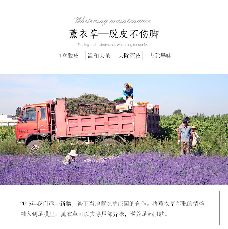 Cánh đồng hoa mẫu đơn nửa cánh đồng trắng muốt cho da chết Ông lão chống khô làm trắng dưỡng ẩm chăm sóc chân lột chân màng phim tẩy da chai cứng ở gót chân