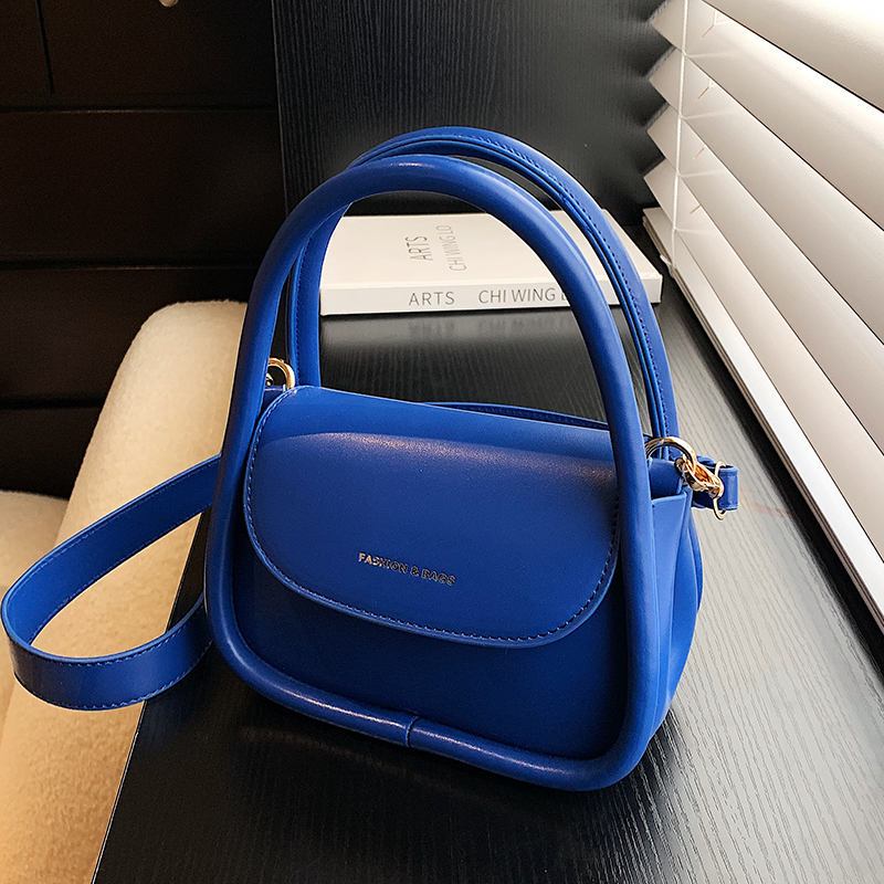 Klein Blue Niche Bag for Women 2026 New Spring and Summer Versatile Crossbody Small Bag with a High-End Feel and Fashionable Handbag