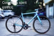 2020 Anemos LeoL Roadster Columbus Spirit Tube Steel Frame Road Bike Frame