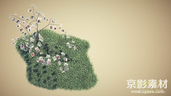 AE模板-照片树唯美相册动画片头 Picture Tree Photo Gallery