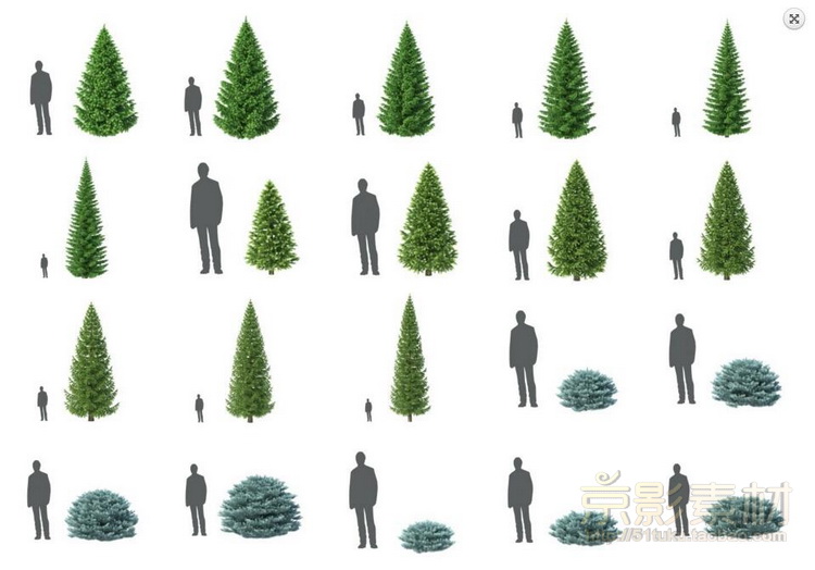 HD Trees for C4D-188棵景观树木Cinema 4D模型C4D模型