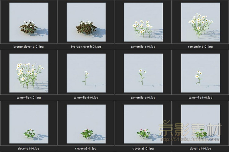 HQ Grass 1 for Cinema4D-226个花草植物C4D模型Cinema4D模型