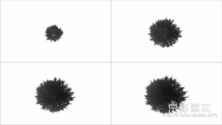 Ink Blots V2 60组水墨滴落印迹墨水散开晕染高清视频素材