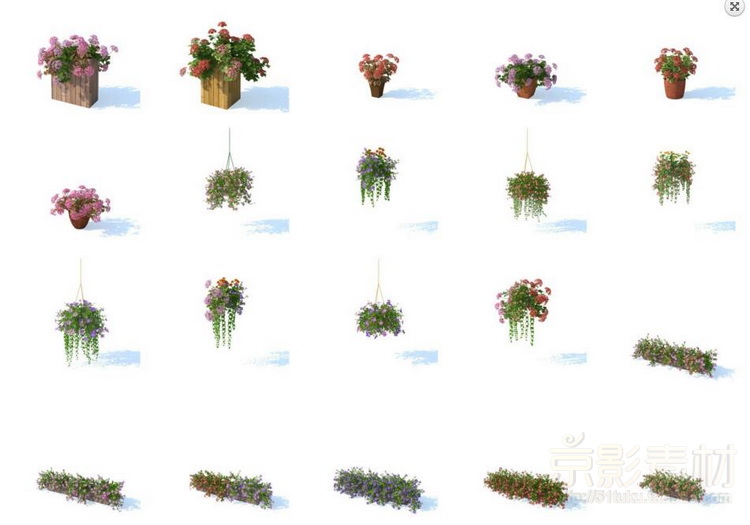 HD Flowers vol1+vol2+vol3 for Cinema4D-100多个漂亮花卉花草C4D模型Cinema 4D模型