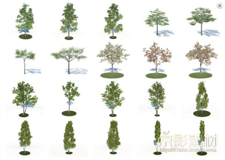HQ Plants 1 for Cinema4D-180个城市景观树种C4D模型