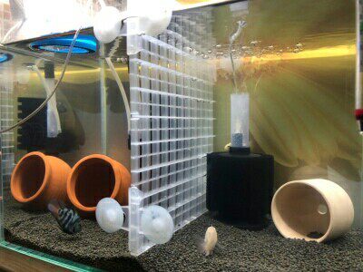 [USD 11.29] Fish tank with water tank special isolation board net ...