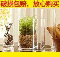 Special thickening plus high glass vase for flower arrangement rich and expensive bamboo 80 water bamboo 50 cm 60cm70 bamboo dry flower flowers