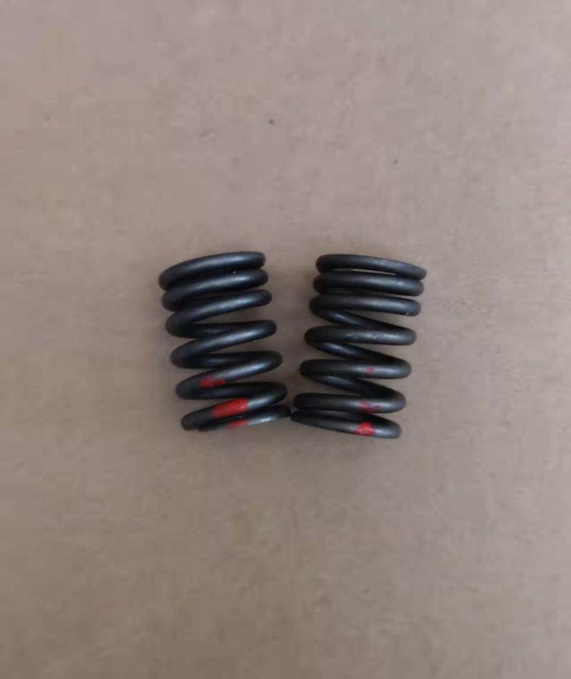 Jinan Light Riding Combat Mastiff QM250GY-F Cruise QM250-3X police car QM250J-2L valve spring