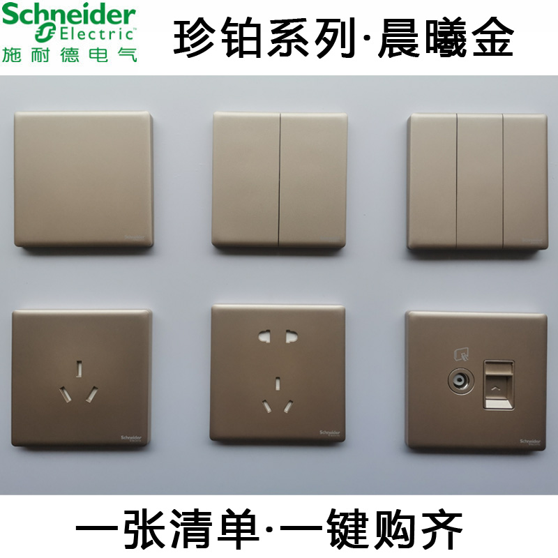 Schneider Jane Platinum 123 single double cut switch 23 plug with switch five hole socket TV telephone computer