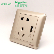 Schneider brisk series frosted gold 2 1A mobile phone charging socket USB five-hole power socket