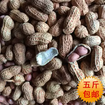 In 2021, artificial screening of fresh sun-dried raw peanuts with shelled raw and edible 500g