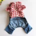 Quần áo thú cưng mùa thu và quần áo mùa đông Tai Di gấu chó quần áo 2018 mới dây đai denim bốn chân mùa xuân - Quần áo & phụ kiện thú cưng áo chó pug Quần áo & phụ kiện thú cưng