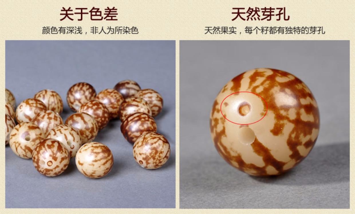 Chất liệu thế giới tốt tự nhiên Bodhi gốc hạt hổ phát hiện hạt trang sức vòng tay handmade phụ kiện tự làm - Vòng đeo tay Clasp vòng tỳ hưu vàng
