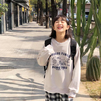 (Spot) Loyalty Dog Small Eight Pear Shaped Homemade Y Cycle Curry Letter Printed Loose Round Collar Sweaty Girl Spring