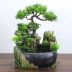 Vành đai Fortune Tree Rockery Fountain Mini Aquarium Lễ hội Quà tặng Bàn Micro Cảnh trang trí Trang trí