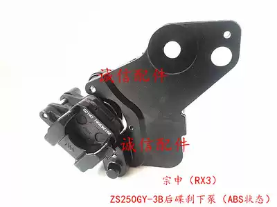 Integrity accessories Zongshen Cyron (RX3)ZS250GY-3B rear disc brake Brake brake pump