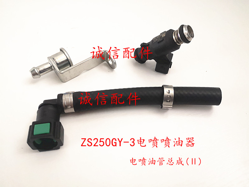 Integrity accessories Zongshen Cyron (RX3)ZS250GY-3 EFI Injector Injector