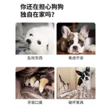 Игрушка для игрушек, кусание, золотисто -ретривер, домашние корги Большой и маленькие щенки Shiba inu Electric Altructing Artifact Cat