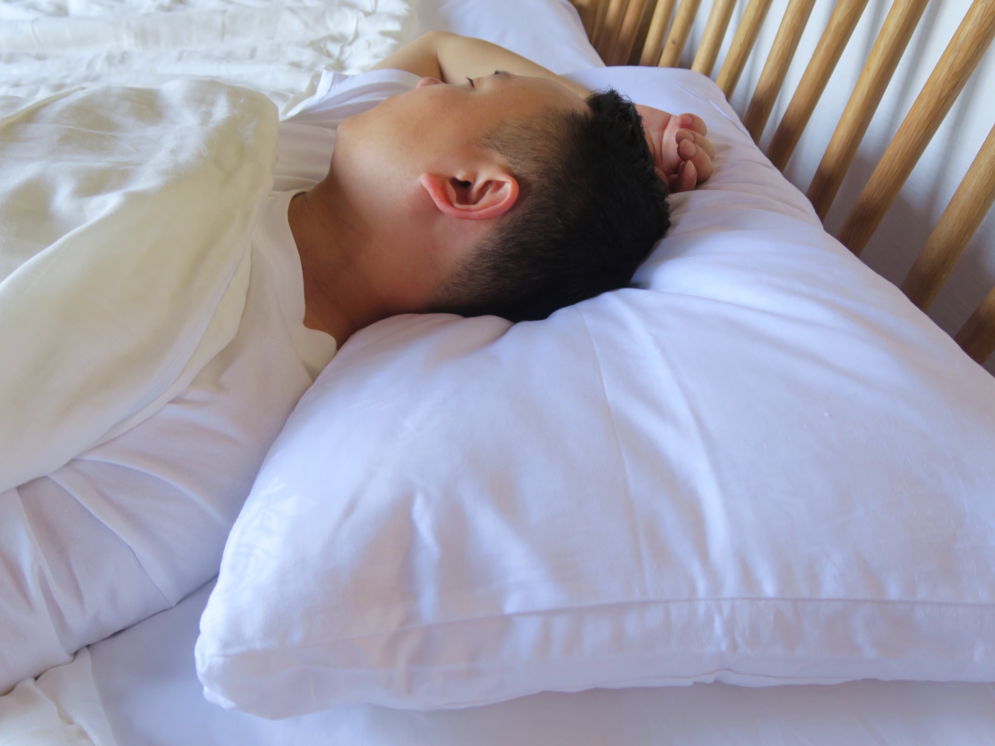 Tiger Grandmother's Home Percentile Artisanal Mulberry Silk Inner Core Infant Students Adult Silk Pillow Core Quality