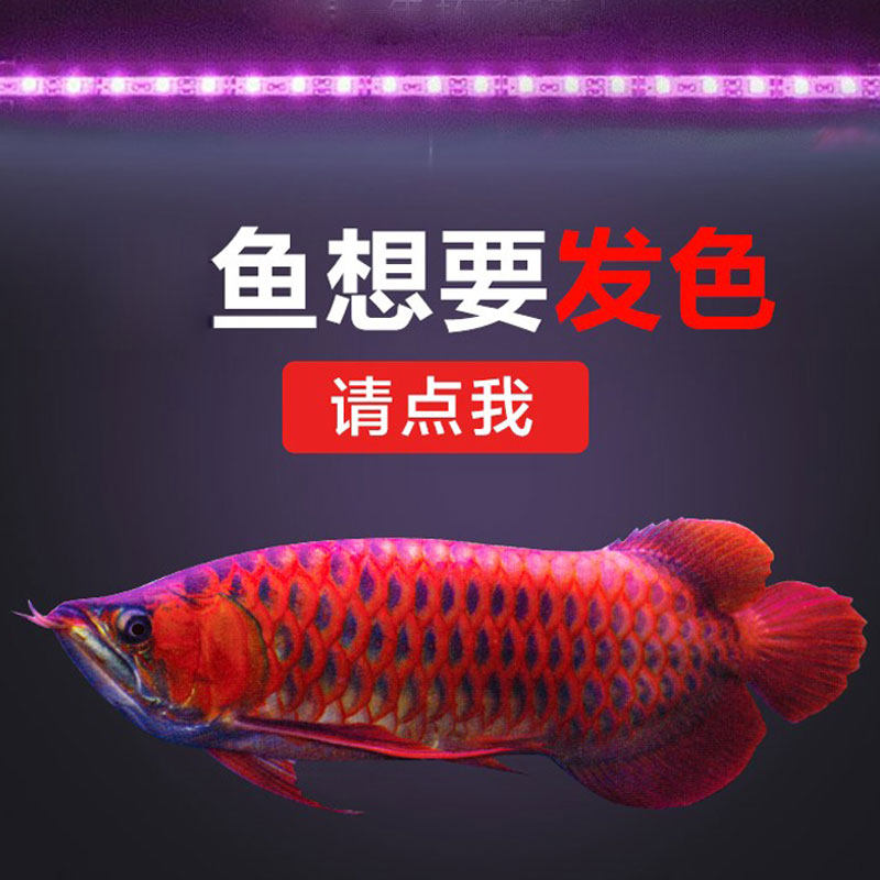 FISH TANK LED LIGHT DOUBLE-ROW SEVEN COLOR REMOTE CONTROL DIVING LIGHT AQUARIUM LIGHTING WATERPROOF RIGGING RED DRAGON LIGHT WATER GRASS LIGHTING TUBE