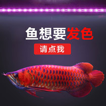 Fish tank led light Double row colorful remote control diving light Aquarium lighting Waterproof landscaping Arowana light Aquatic plant lamp