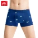 Fu Nilai Quần lót nam mới thoải mái thoáng khí Cotton thun trẻ trung Eo eo Boxer Tóm tắt 2 Gói 1122