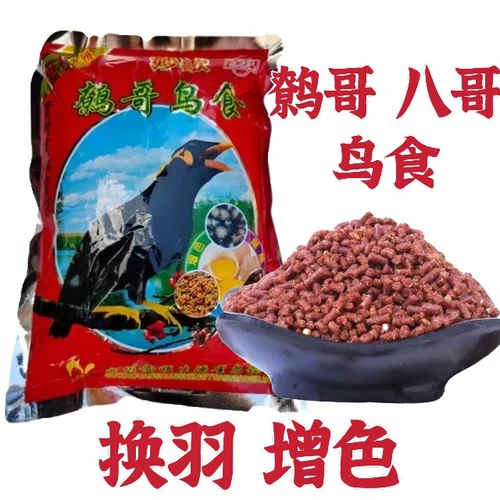 Guizhou Miao ge Shengyuan, брат птица, птица, говорящая птица, брат, бабушка, зерно птицы радио