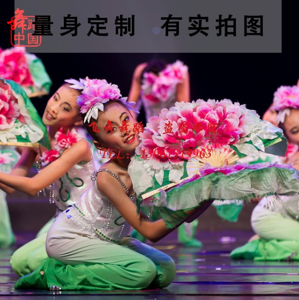 Blossoming Xiaoho Wind and Dance Stage Performance Costume Professional Customized